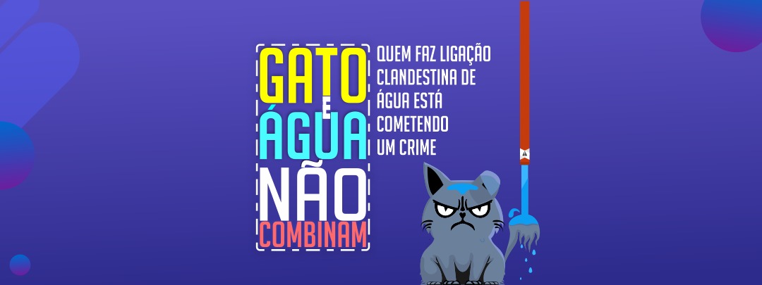 gato e agua não combinam