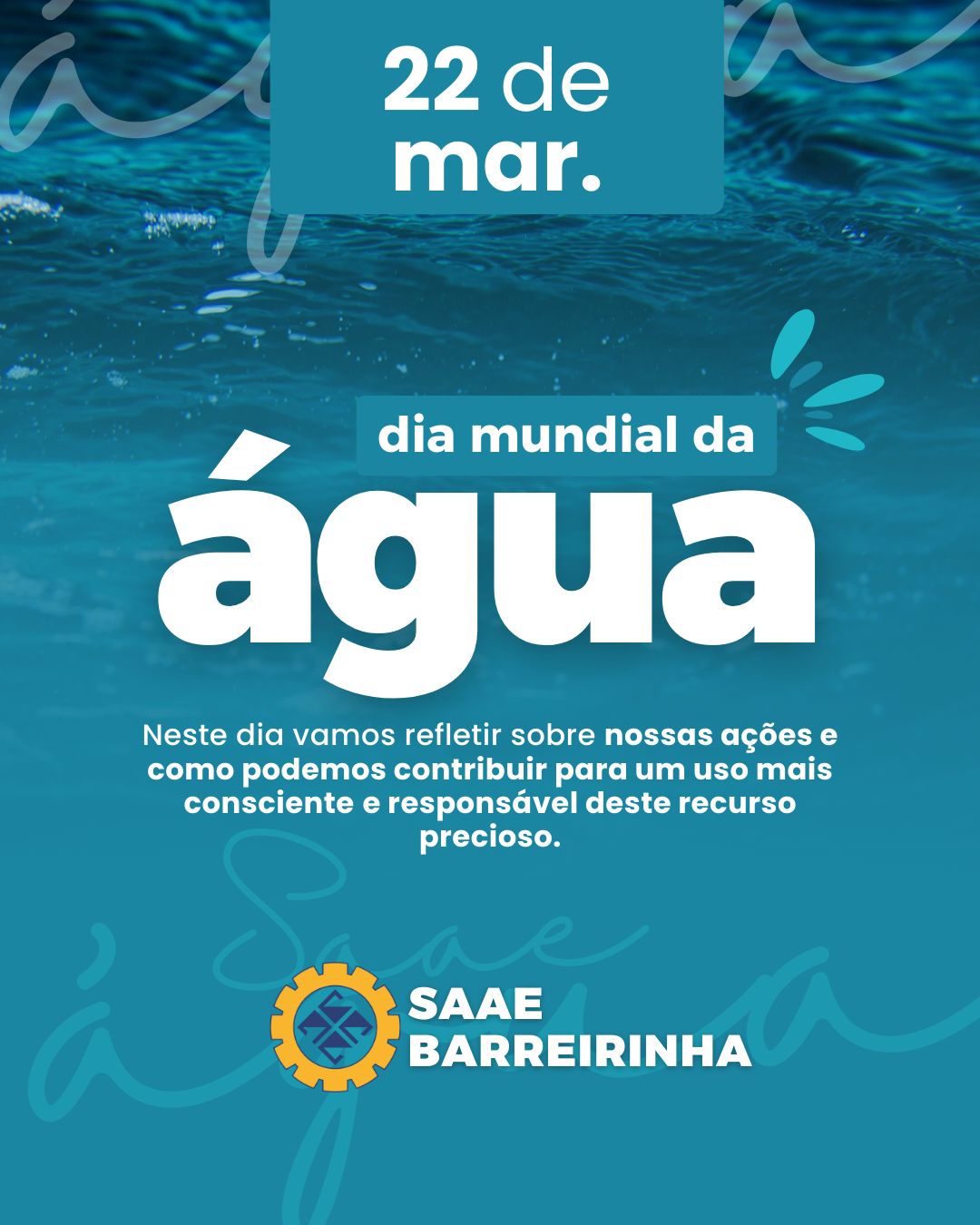 dia mundial da agua